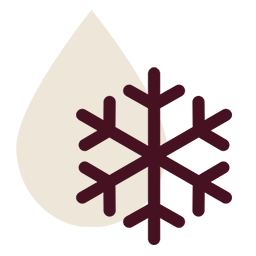 Winterization Icon